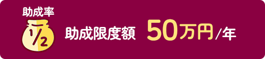 助成率1/2、助成限度額50万円/年