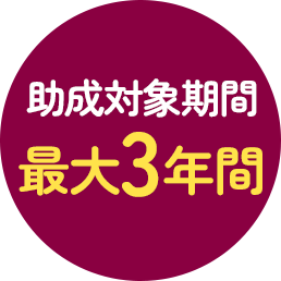 助成対象期間 最大3年間